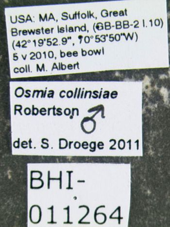 Media type: image;   Entomology 610958 Aspect: labels